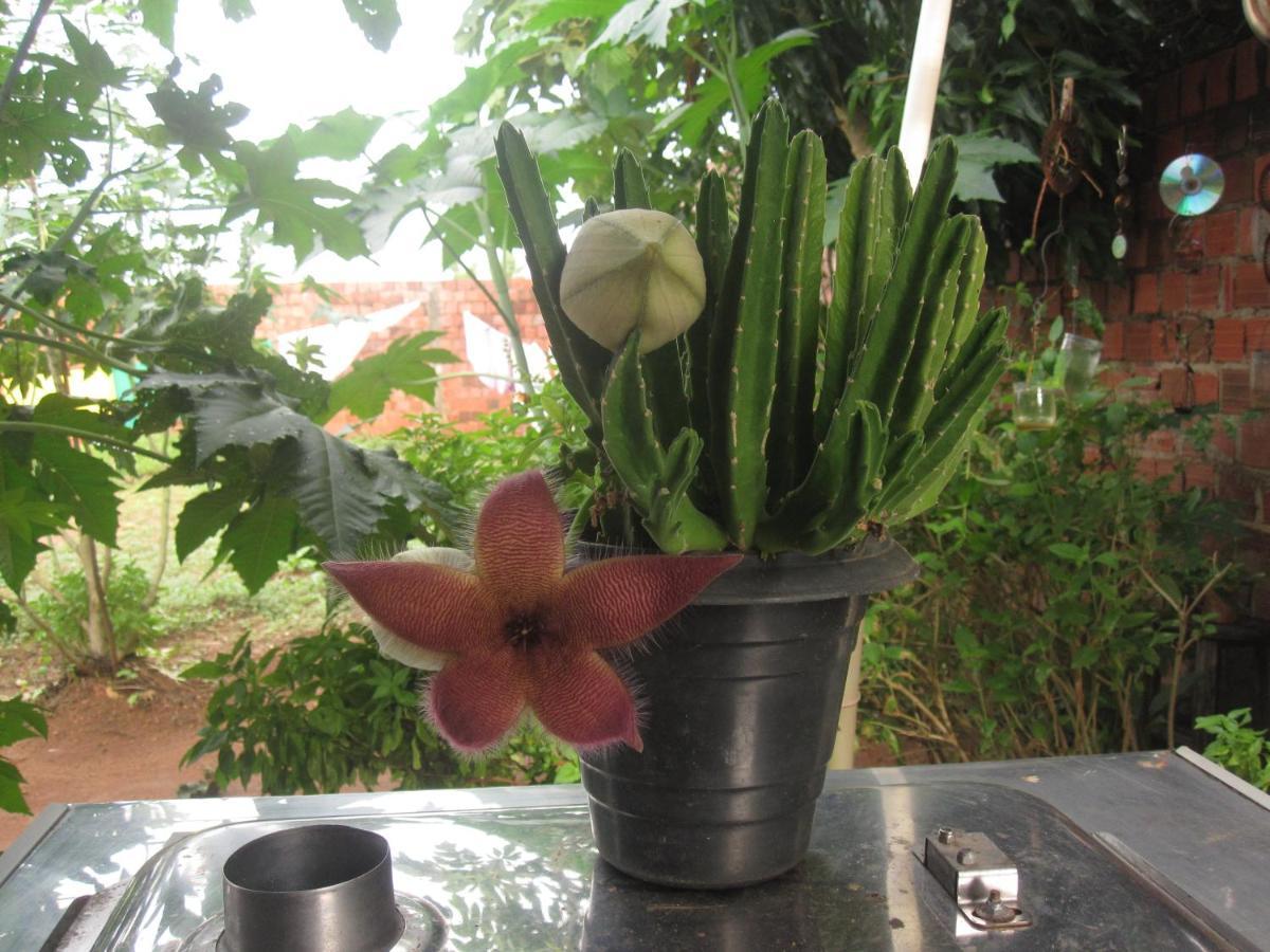 Ecorupestre Hostel Sao Raimundo Nonato Ngoại thất bức ảnh
